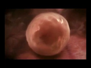 fertilization and human embryogenesis