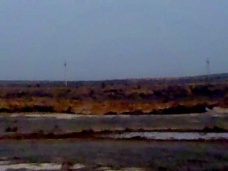 tumbleweed invasion in kalmykia at the npsk 15 02 13