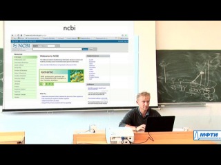 fundamentals of bioinformatics. lecture number 3. bioinformatics tools