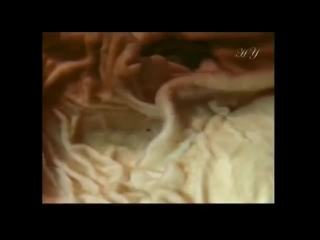 digestive system. movie.