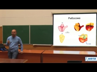 lecture number 1. cell theory. central dogma of molecular biology. the structure of the cell nucleus