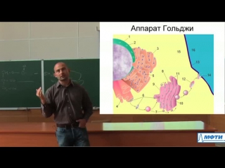 lecture number 3. cell organelles and their functions