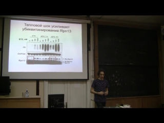 bioseminars ru- nikolai kukushkin - the proteasome is smarter than you think