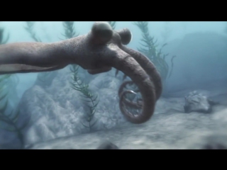 anomalocaris - sea monster