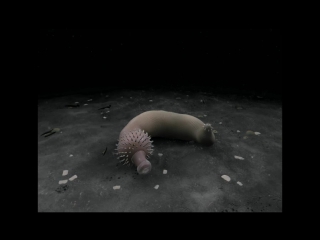 3d animation of ottoia prolifica. animation by phlesch bubble © royal ontario museum