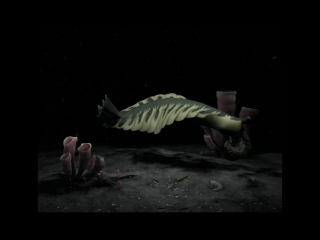 anomalocaris - the largest predator of the cambrian (3d animation)