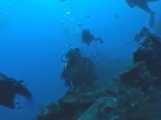 cuba gardens of the queen diving promovideo