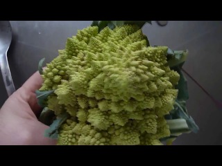 romanescu - romanesco broccoli - kinda cauliflower