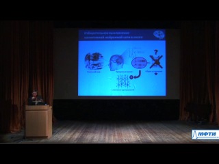 konstantin anokhin. physics and the brain: cognitive network operations with photons