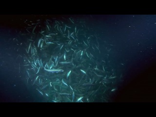 planet ocean / planet ocean (2012) hd