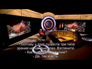 i series episode 5 invertebrates xl (rus sub)