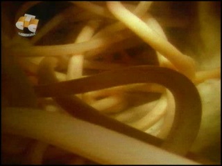 bbc - parasites in the human body body snatchers (2004) (part 1 of 3)