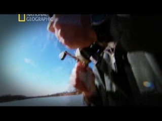 national geographic. hooked: monster catching - vampire fish