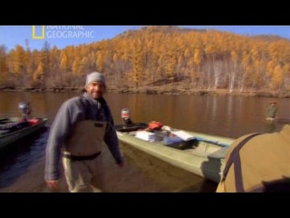 national geographic. hooked: monster catching - mongolian taimen