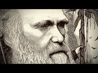 bbc: charles darwin and the tree of life