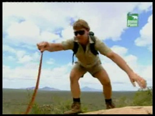 crocodile hunter (4)