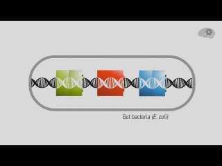 synthetic biology