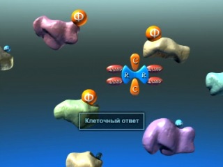 biochemistry. transmission of a hormonal signal across the membrane