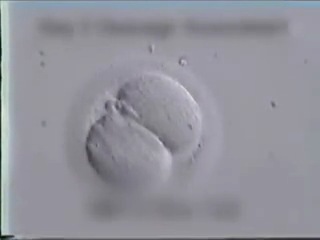 eco - in vitro fertilization