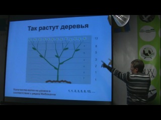 fibonacci numbers and the golden ratio in nature