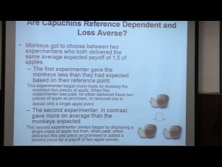 course neurobiology of decision making. lecture 7