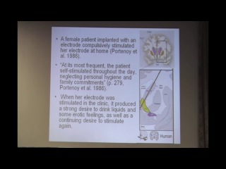 course neurobiology of decision making. lecture 1